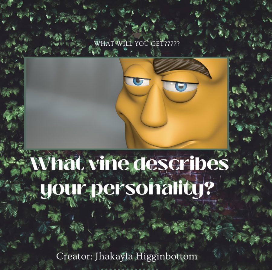 What vine describes your personality?