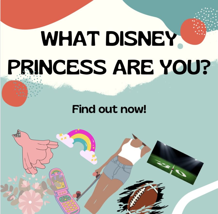 Which Disney character are you?