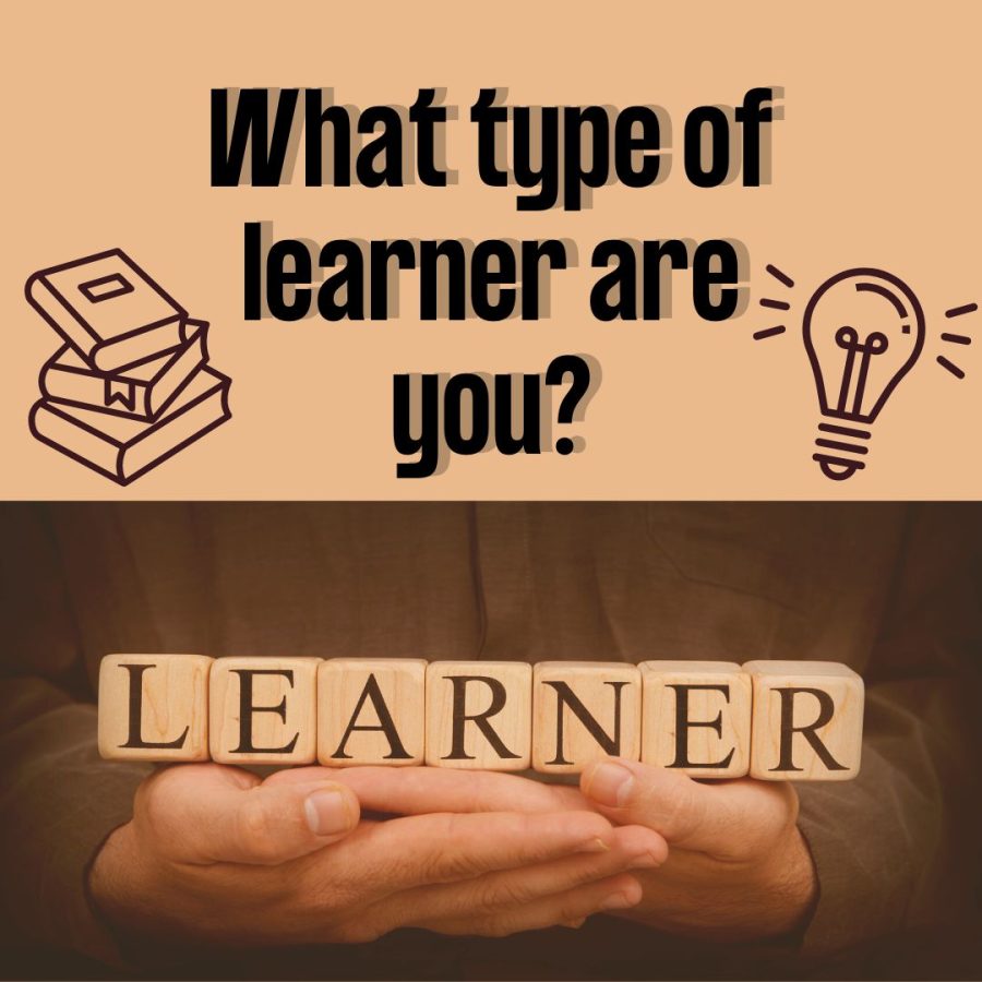 What+type+of+learner+are+you%3F