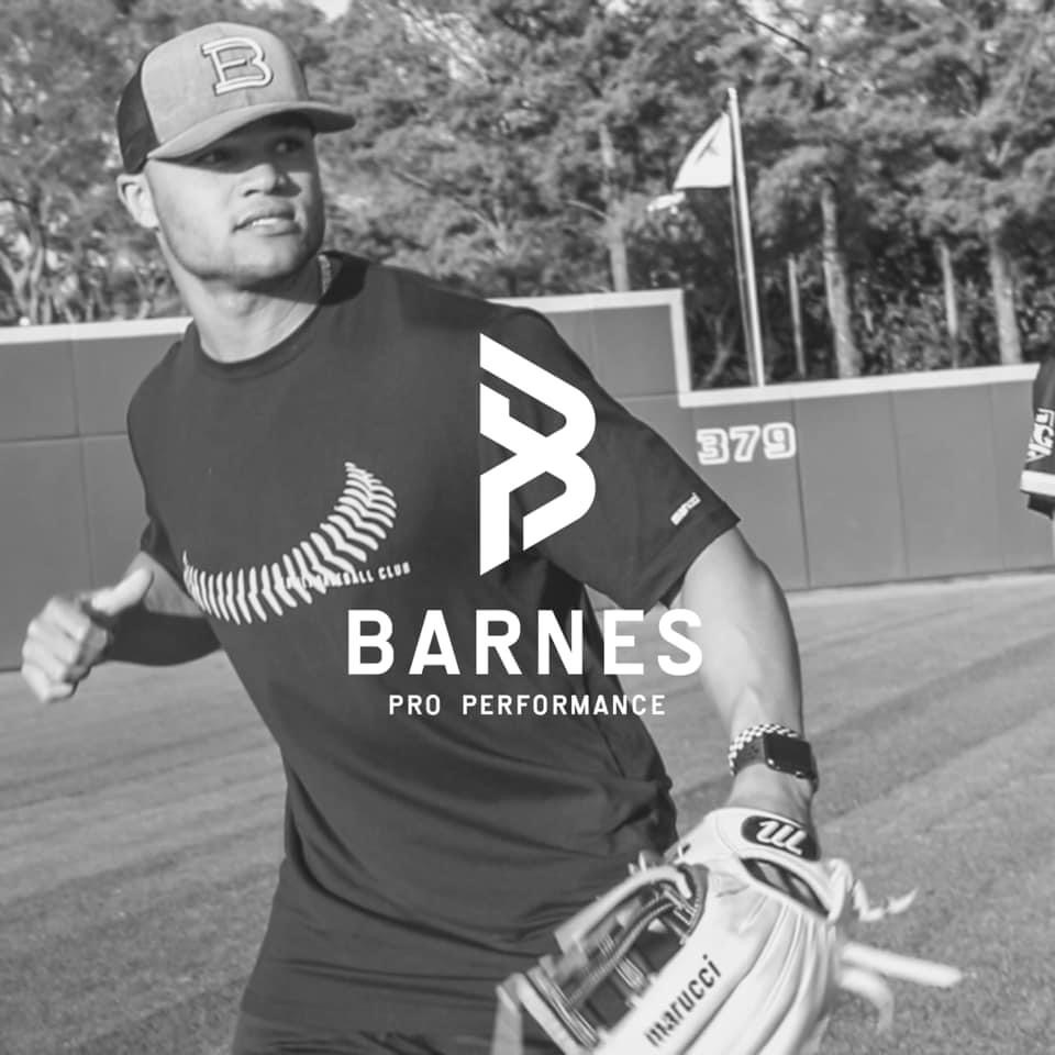 Jordan Barnes AHS Alumni Continues His Baseball Career in Arlington