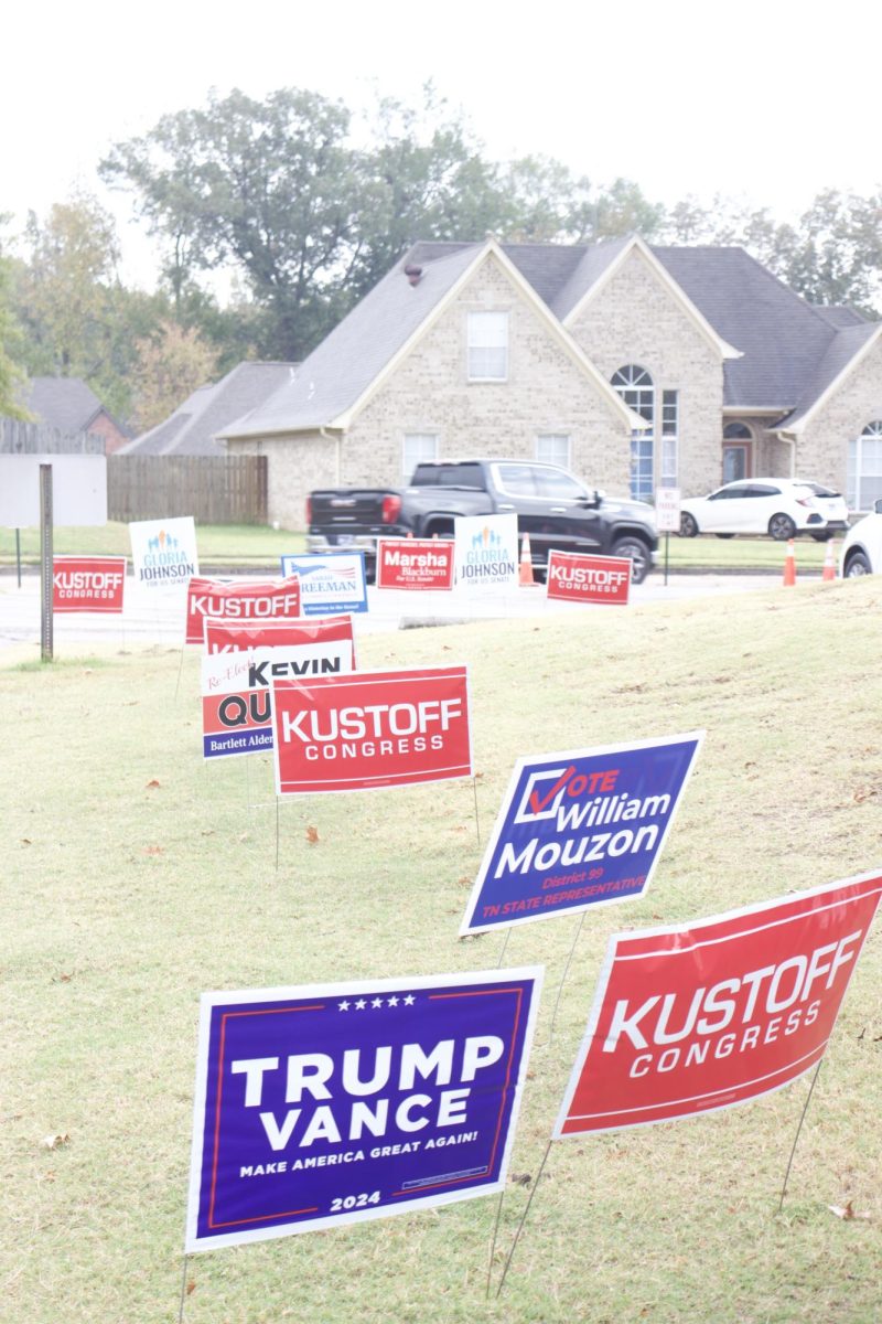 Signs are up everywhere showing off the candidates running. 