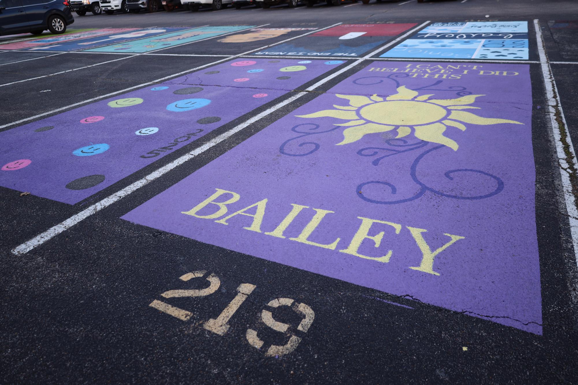 Senior Parking Spot Painting