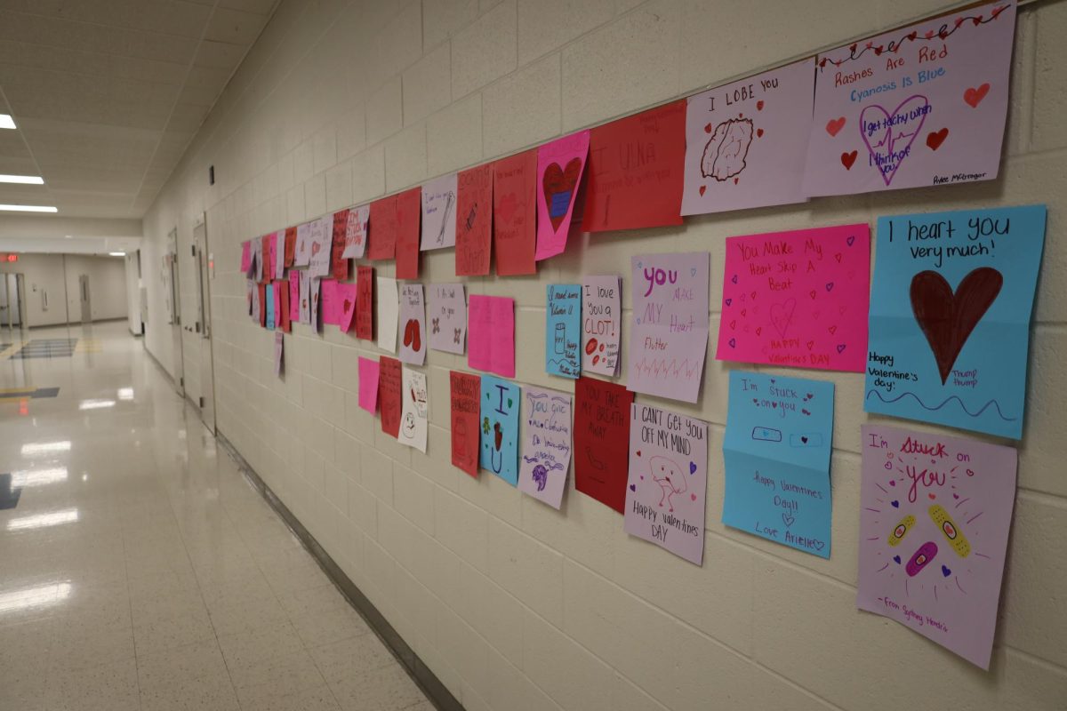 The nursing classes had made art work for the hallway with loving quotes made into healthcare art. 