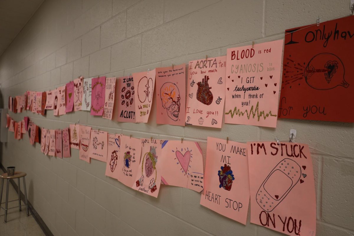 The hallways are filled with talented artwork from students.