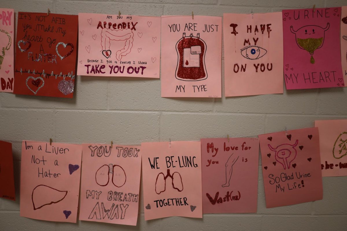 Many classes had class projects that related to valentines day. 